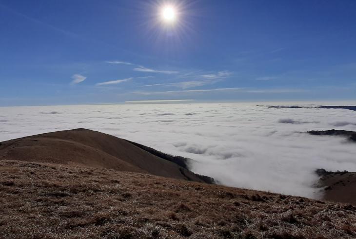 Dolina zahlená hmlou.